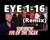 Eye of the Tiger (Remix)
