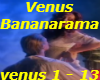Venus-Bananarama