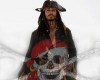 Pirate Johnny Depp
