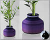 !Bamboo Purple Pot