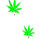 jackle weed symbols