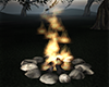 Big Campfire