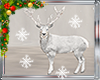 DC*Winter White Deer