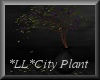 *LL*City Plant