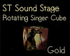 ST Sound Stage CUBE ANI