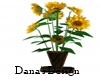 {DD} Sunflowers Vase