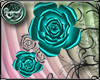 ~ZY~ teal roses