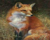 Fox Trigger blanket