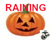 Raining Pumpkins