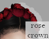 VD⋗ Rose Crown