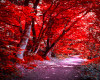 Red Forest Background