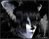 ((MA))Winter Storm {M}