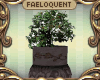 F:~ Potted Tree Shelf