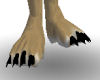 Foxtrot Feet Black Claws