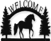 Welcome Horse