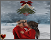 Winter Room MistleToe