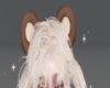 ♡bearears