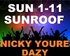 ♯ Nicky Youre -Sunroof