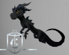 Black Dragon Pet
