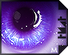 Galaxy /Lmtd Male Eyes