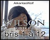 Wilson - Brisé