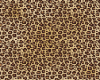cheetah crop