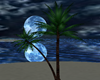 ~D~ Island Palm Tree V.2