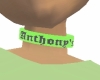 Anthony's collar female