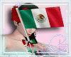 KG VIVA Mexico Flag HH