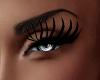 Hot Long Eyelashes Black