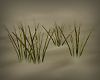 3d Grass shots