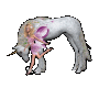 Animated Unicorn 21
