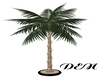 Holiday Palm Tree Plant