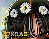 𝕃ℝ® Head Flowers