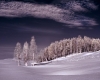 ~GgB~ Winter Scene