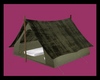 C* Camping Tent