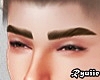 Realistic Eyebrows Brown