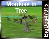 [BD] Monkies In Tree