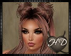 Autumn Salon XXIII
