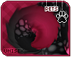 [Pets] Ziro | tail v3