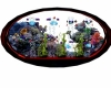 wall fishtank animated