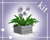 [Kit]Flower1