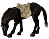 ANIMATED  BLK HORSE