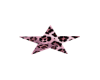 Pink Cheetah Star
