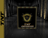 TnT Mini Banner