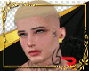 Hair Collection (RF) 2