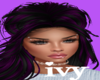 ivy-Zenovia BLK&Purple