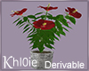 K derv hibiscus plant