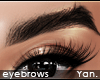 Y: HD brows | arched
