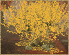 fall ginkgo biloba